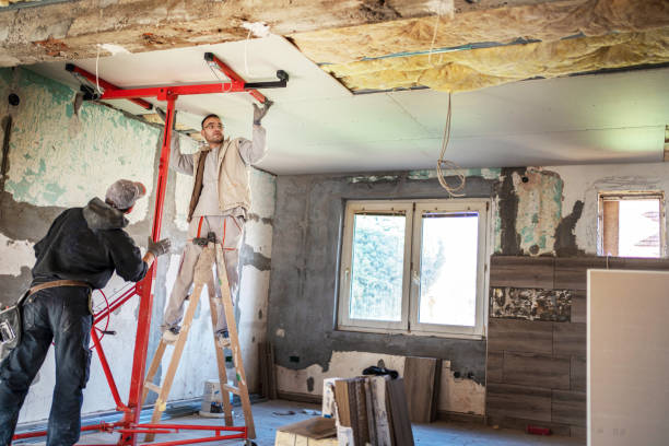 Best Eco-Friendly Insulation in Shelby, OH